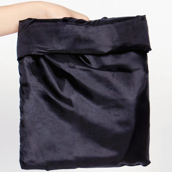 Bag to Swallow Tail Coat - Image 2