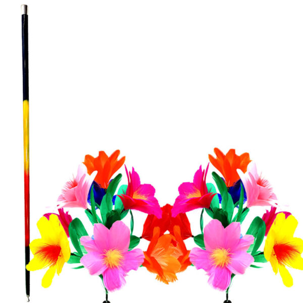 Deluxe Cane to Two Bouquets (Version 2) - Image 2