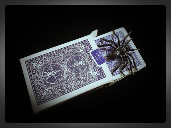 Spade Spider by Shawn Lee - Image 3