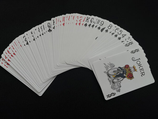 Ultra-Thin Bicycle Manipulation Deck - Image 2