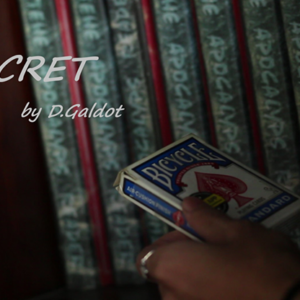 Secret by D.Galdot video DOWNLOAD
