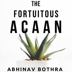 The Fortuitous ACAAN by Abhinav Bothra Mixed Media DOWNLOAD