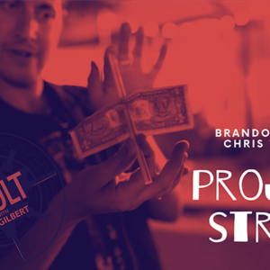 The Vault - Project Straw by Brandon David & Chris Turchi video DOWNLOAD