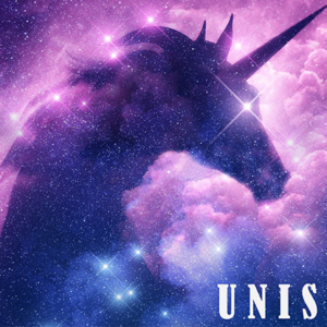 UNISON by Dibya Guha ebook DOWNLOAD