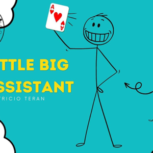 The Vault - Little Big Assistant by Patricio Teran video DOWNLOAD
