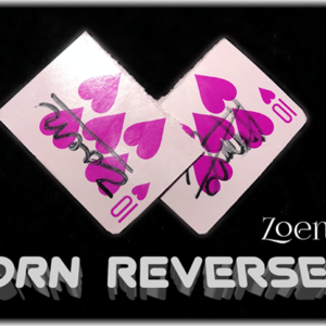Torn Reversed by Zoen's video DOWNLOAD