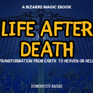 Life After Death by Dominicus Bagas eBook DOWNLOAD