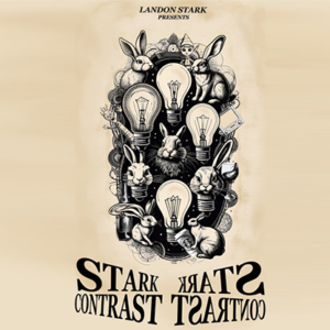 The Stark Contrast by Landon Stark eBook DOWNLOAD