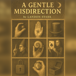 A Gentle Misdirection by Landon Stark eBook DOWNLOAD