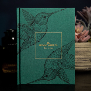 The Hummingbirds by Luke Jermay