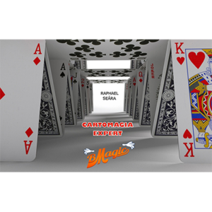 Cartomagia Expert by Raphael Se谩ra (Portuguese Language) - Video DOWNLOAD