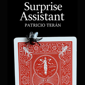 Surprise Assistant by Patricio Teran video DOWNLOAD