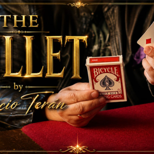 The Bullet by Patricio Teran video DOWNLOAD