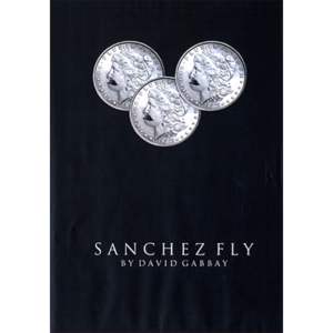 Sanchez Fly by David Gabbay - video DOWNLOAD