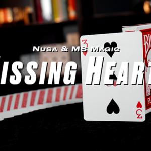 Missing Hearts (Blue) by Nusa & MS Magic