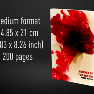 Babel Book Test 4 by Vincent Hedan (Memory of Tomorrow), medium, 600 pages